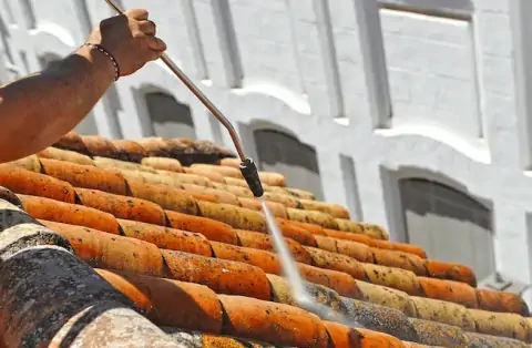 Nettoyage de toitures - Alsting